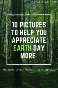 10 pictures to help you appreciate earth day more