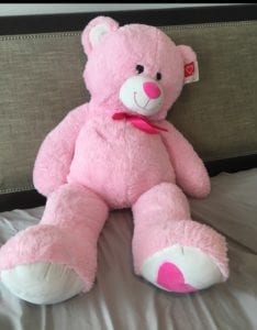 Valentines bear