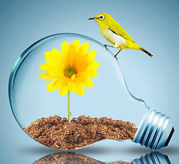 Personal growth