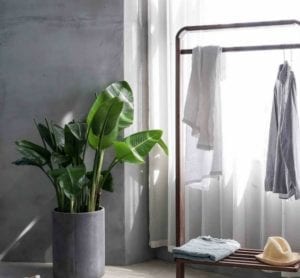 Deep cleaning challenge